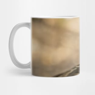 Sparrow with a Seed Photograph Mug